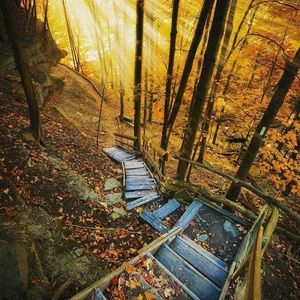 Meet your Posher, Dawn